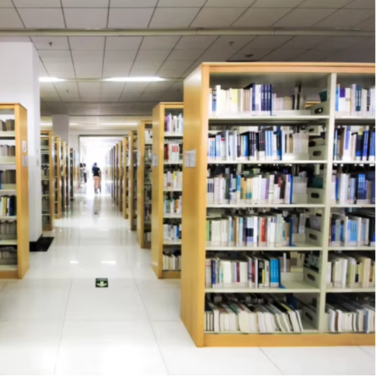 Factory Direct Double-Sided Bo - огляд і ціна Home Office With Library